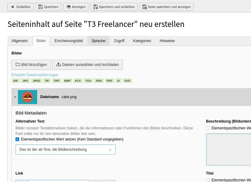 SEO (Suchmaschinenoptimierung) für Typo3-Seiten