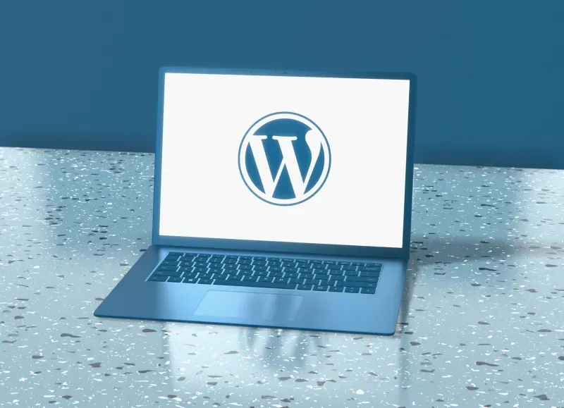 SEO-Plugins vs. SEO-Experte – was macht den Unterschied?